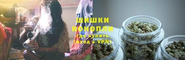 шишки Алексин